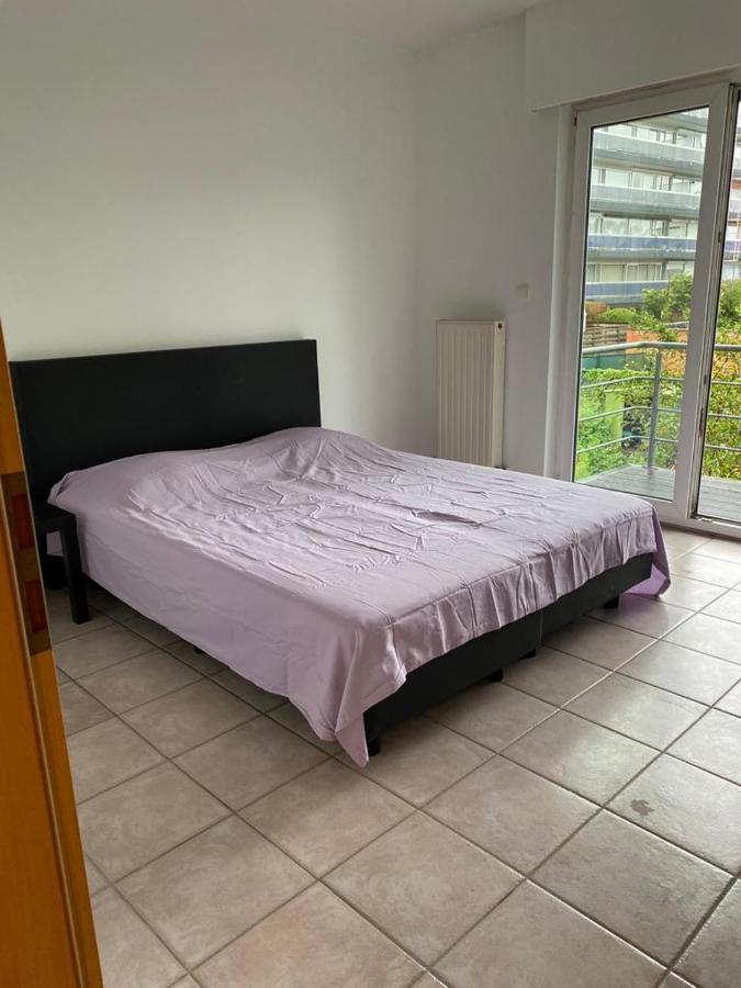 Superbe Appartement Lumineux Et Spacieux Антверпен Екстериор снимка